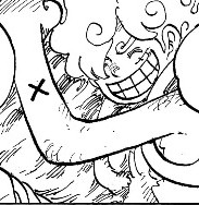 ルフィの左腕